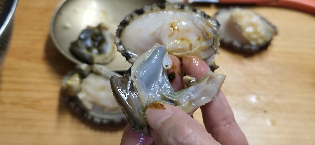 img.jpg?credential=yqXZFxpELC7KVnFOS48ylbz2pIh7yKj8&expires=1759244399&allow_ip=&allow_referer=&signature=tckjzu25tYKueHZyXAYU3bJm1Po%3D