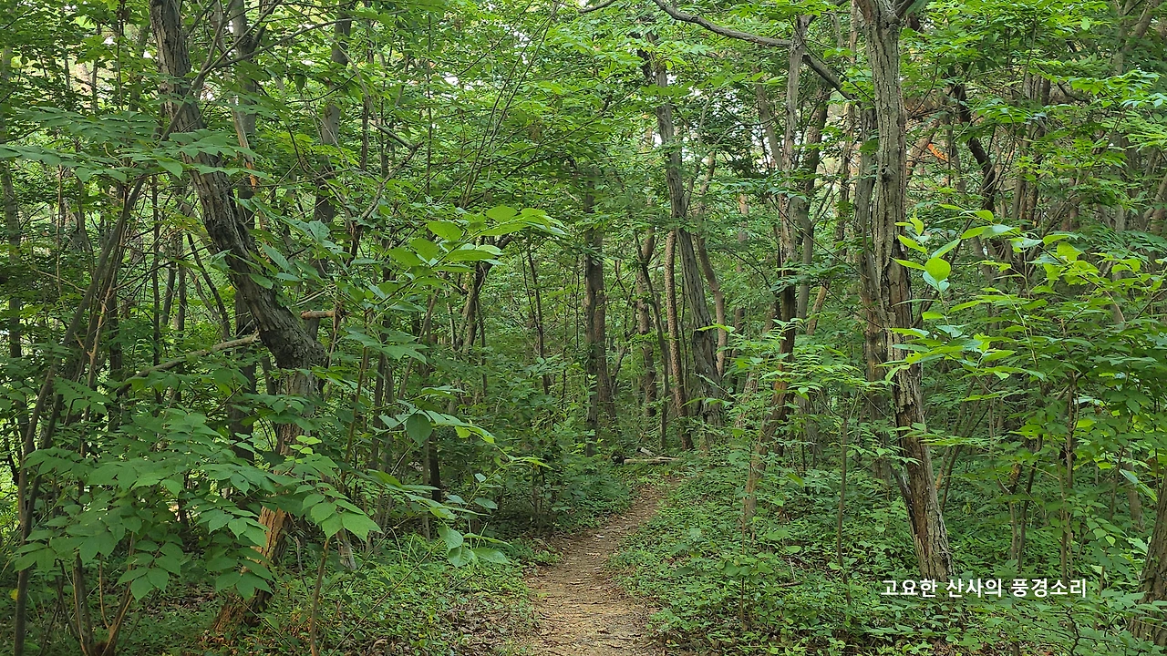 img.png?credential=yqXZFxpELC7KVnFOS48ylbz2pIh7yKj8&expires=1753973999&allow_ip=&allow_referer=&signature=RUMZiUp2bNHdP9RTBI%2Fc0SWuCkc%3D