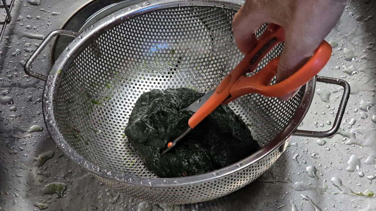 img.jpg?credential=yqXZFxpELC7KVnFOS48ylbz2pIh7yKj8&expires=1769871599&allow_ip=&allow_referer=&signature=k2lM5gzc8ABYgZR2BuQcjmsT%2BOo%3D