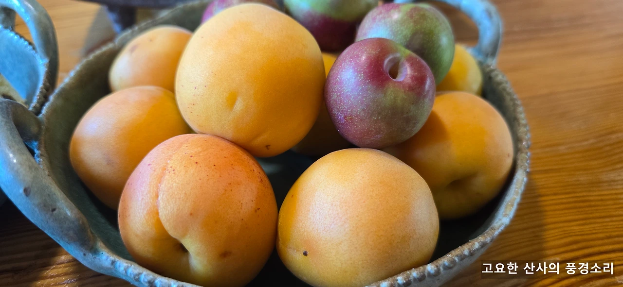 img.png?credential=yqXZFxpELC7KVnFOS48ylbz2pIh7yKj8&expires=1751295599&allow_ip=&allow_referer=&signature=f6QXnPOVqmfGxNxQ9uS5xByTVG4%3D