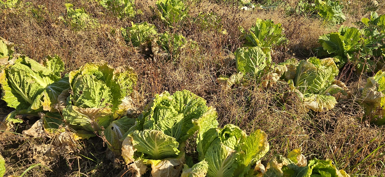 img.jpg?credential=yqXZFxpELC7KVnFOS48ylbz2pIh7yKj8&expires=1767193199&allow_ip=&allow_referer=&signature=DaDzGnPNQbm6d4krNwtrO%2FCHiNM%3D