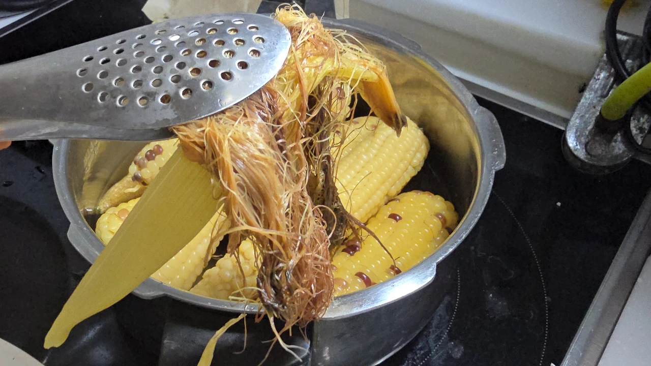 img.jpg?credential=yqXZFxpELC7KVnFOS48ylbz2pIh7yKj8&expires=1753973999&allow_ip=&allow_referer=&signature=j5Pw6kdDPic51UXSXI6ihklLnx4%3D