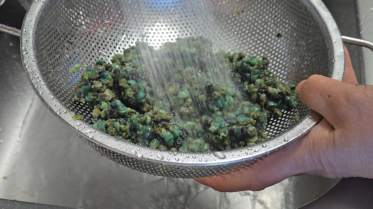 img.jpg?credential=yqXZFxpELC7KVnFOS48ylbz2pIh7yKj8&expires=1767193199&allow_ip=&allow_referer=&signature=mp%2F1GH8rj36jOIJ8WChUpJiom3M%3D