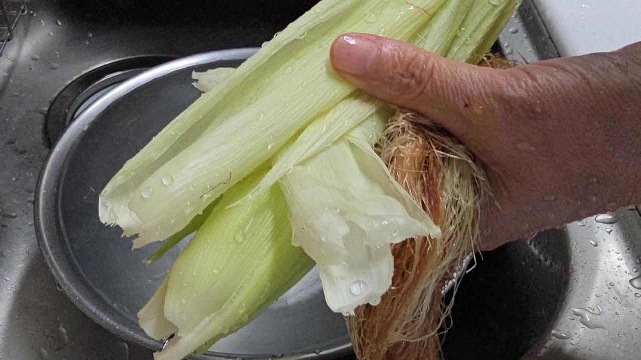 img.jpg?credential=yqXZFxpELC7KVnFOS48ylbz2pIh7yKj8&expires=1753973999&allow_ip=&allow_referer=&signature=N%2F1xXbKbUiRKqMRpMPnCfvnixx0%3D