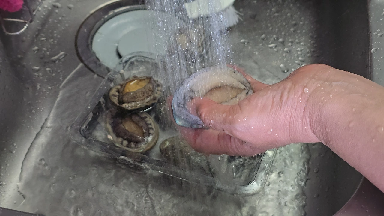 img.jpg?credential=yqXZFxpELC7KVnFOS48ylbz2pIh7yKj8&expires=1759244399&allow_ip=&allow_referer=&signature=vi4nmIqupzO%2BF3NJe7npPfgSGgM%3D