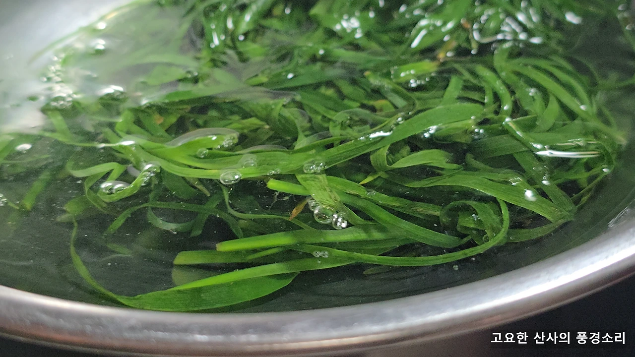 img.png?credential=yqXZFxpELC7KVnFOS48ylbz2pIh7yKj8&expires=1753973999&allow_ip=&allow_referer=&signature=bMQZuHJs3QDSKxpr2QR5uoyL1oU%3D