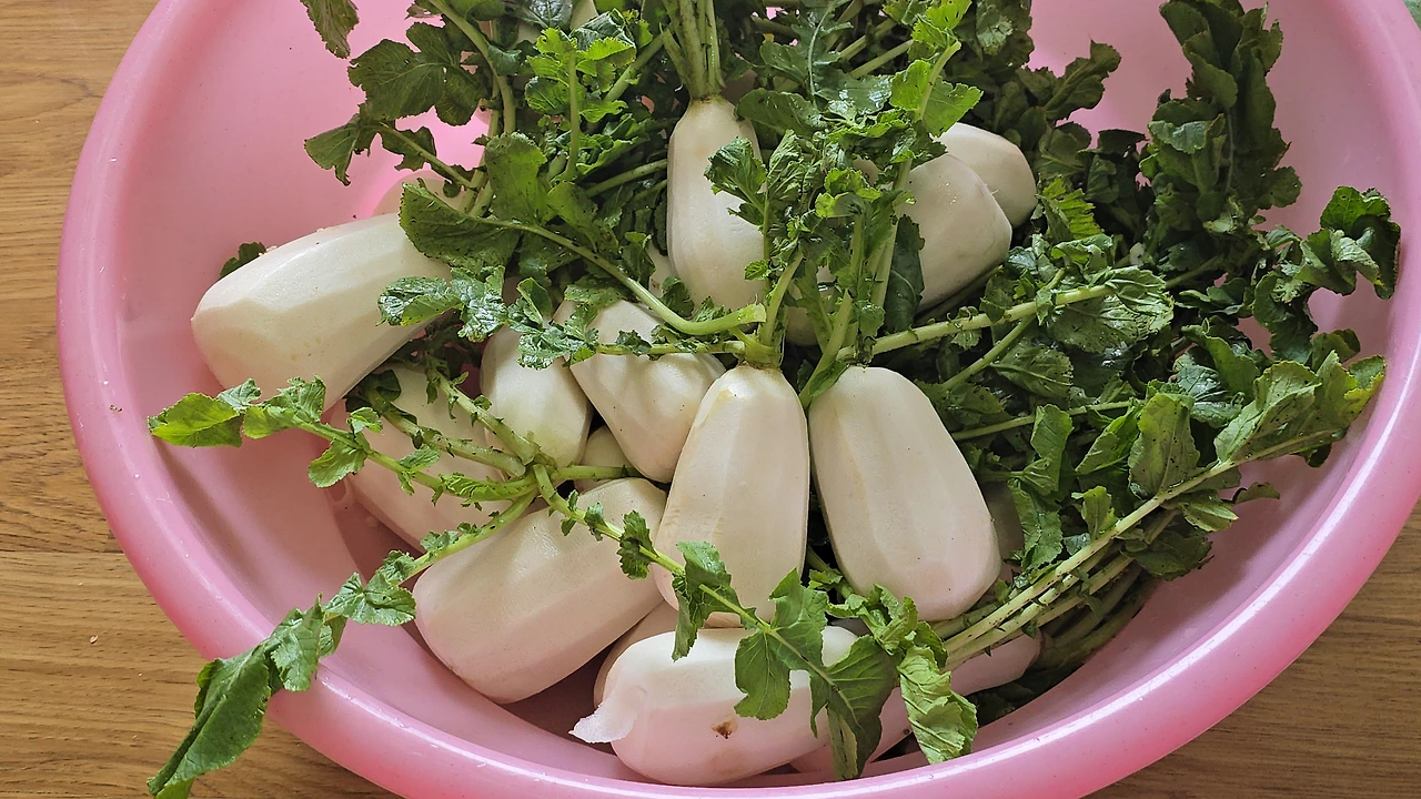 img.jpg?credential=yqXZFxpELC7KVnFOS48ylbz2pIh7yKj8&expires=1756652399&allow_ip=&allow_referer=&signature=BW2Z5nBztUoDR3%2B26sAHvwbteVs%3D