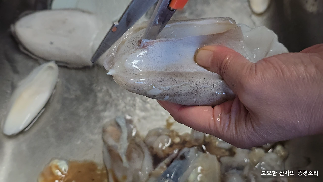 img.png?credential=yqXZFxpELC7KVnFOS48ylbz2pIh7yKj8&expires=1764514799&allow_ip=&allow_referer=&signature=MwGEUpWi%2BWW5RnA5j8NYLJJY070%3D