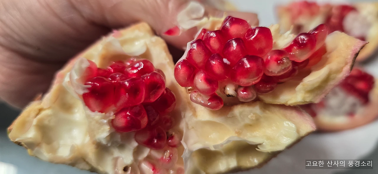 img.png?credential=yqXZFxpELC7KVnFOS48ylbz2pIh7yKj8&expires=1764514799&allow_ip=&allow_referer=&signature=LXmkgeXVMpec%2BJCbByd%2FGGVbLiU%3D