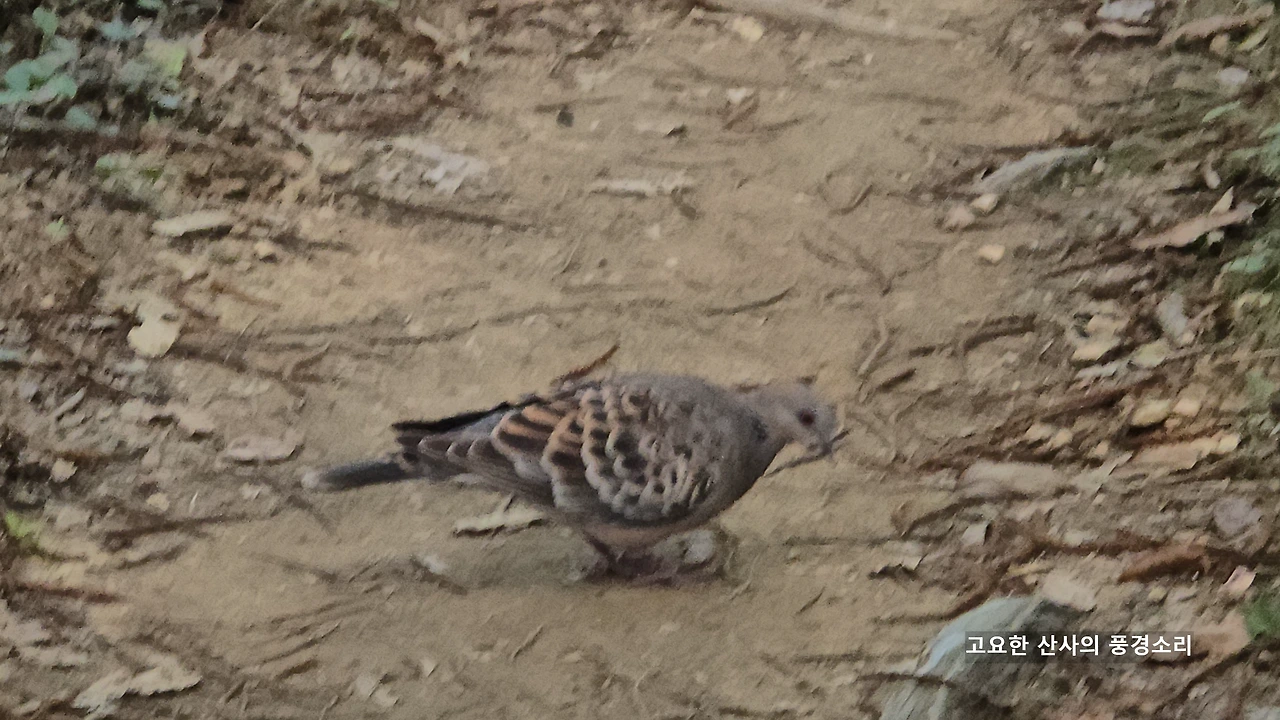 img.png?credential=yqXZFxpELC7KVnFOS48ylbz2pIh7yKj8&expires=1753973999&allow_ip=&allow_referer=&signature=VE%2Bs1X490nxInNrZl1tawiCVXEM%3D