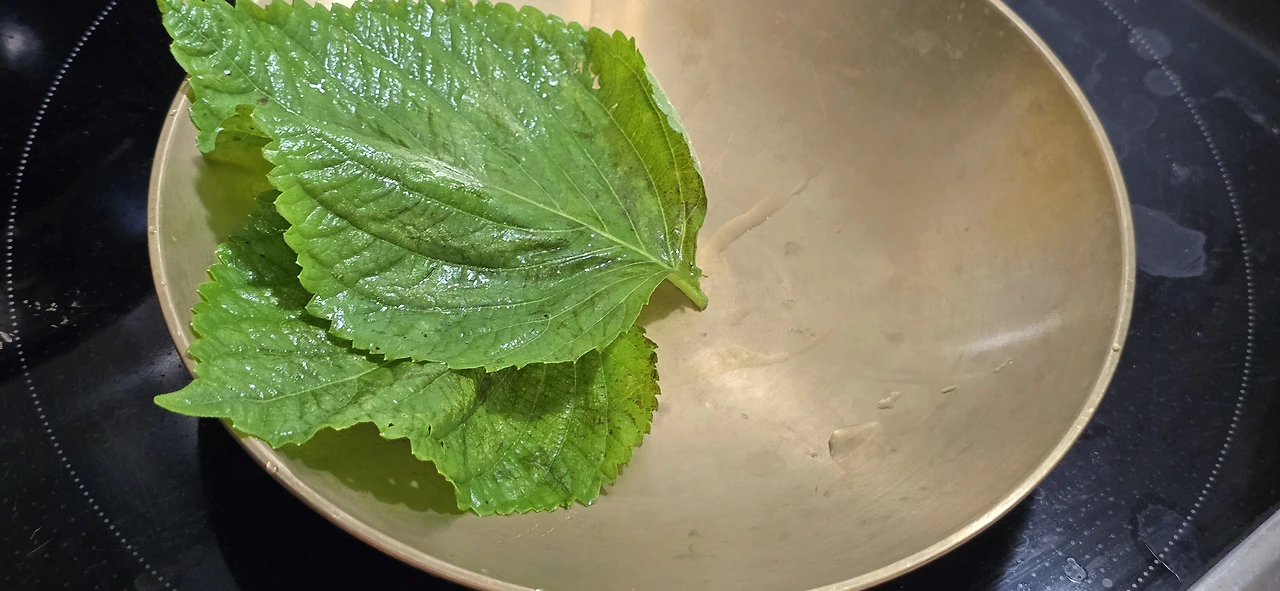 img.jpg?credential=yqXZFxpELC7KVnFOS48ylbz2pIh7yKj8&expires=1759244399&allow_ip=&allow_referer=&signature=U05nXfds8RTLN8vCTTQXHdd%2FUeA%3D