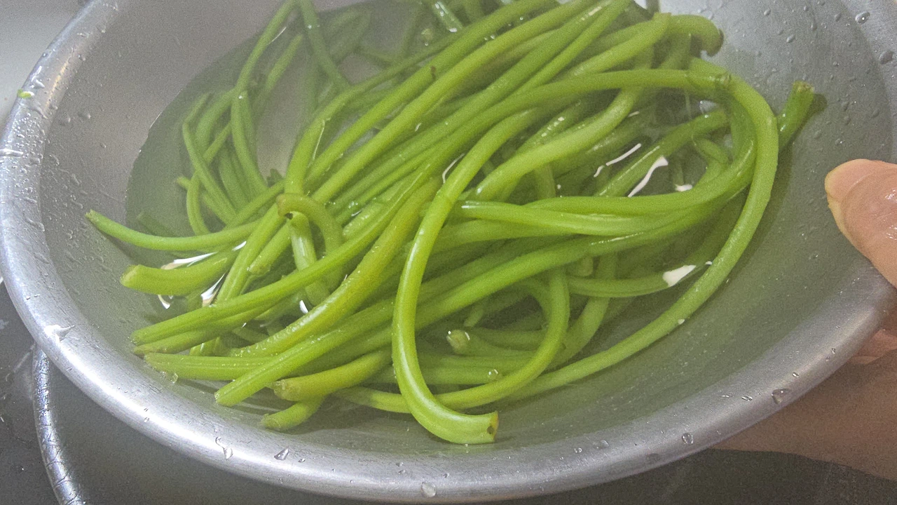 img.jpg?credential=yqXZFxpELC7KVnFOS48ylbz2pIh7yKj8&expires=1759244399&allow_ip=&allow_referer=&signature=3vi7M4Zuy43PTFK%2BJVA141dZbg8%3D