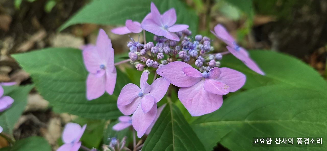 img.png?credential=yqXZFxpELC7KVnFOS48ylbz2pIh7yKj8&expires=1751295599&allow_ip=&allow_referer=&signature=y%2B7wCjdmRLj0QcdbuCwyd3l5304%3D