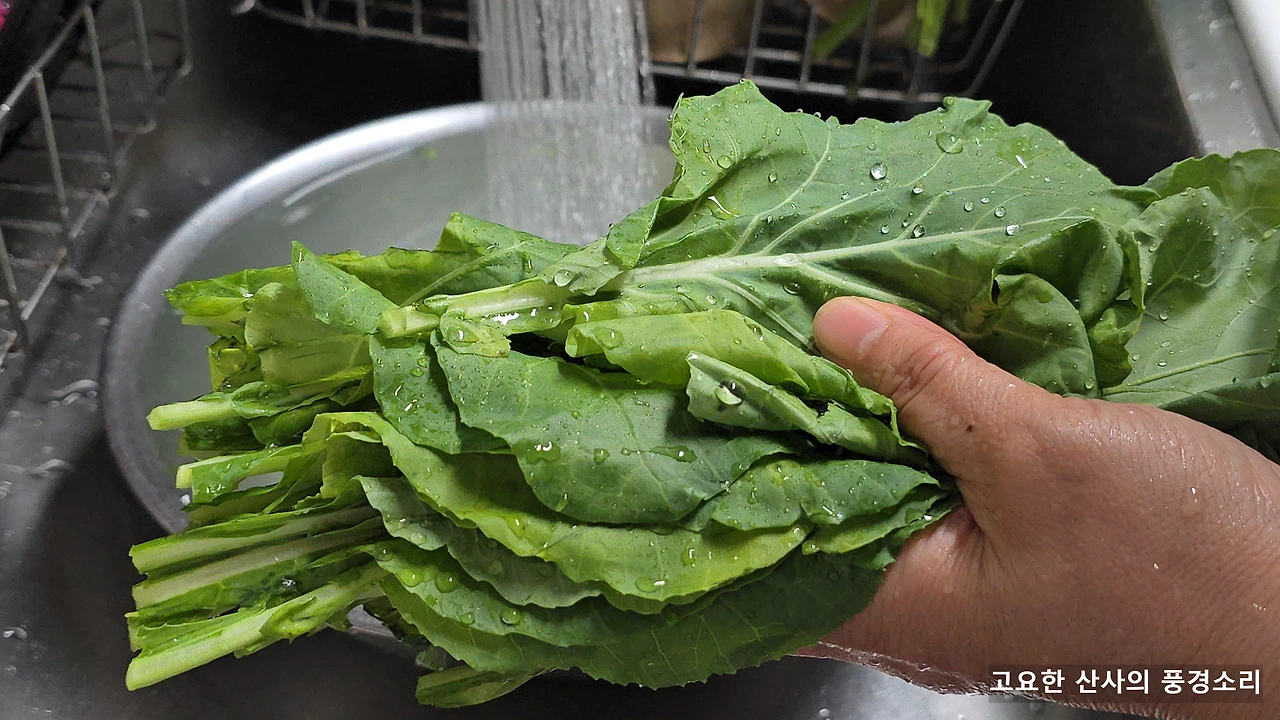 img.png?credential=yqXZFxpELC7KVnFOS48ylbz2pIh7yKj8&expires=1751295599&allow_ip=&allow_referer=&signature=hPFn9l36Ha92ZfDb3YVwhWqNY4M%3D