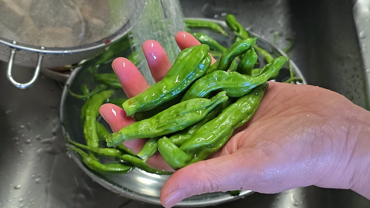 img.jpg?credential=yqXZFxpELC7KVnFOS48ylbz2pIh7yKj8&expires=1756652399&allow_ip=&allow_referer=&signature=P86a6AEW7Wngfa0wtPg8YI%2FQRSQ%3D