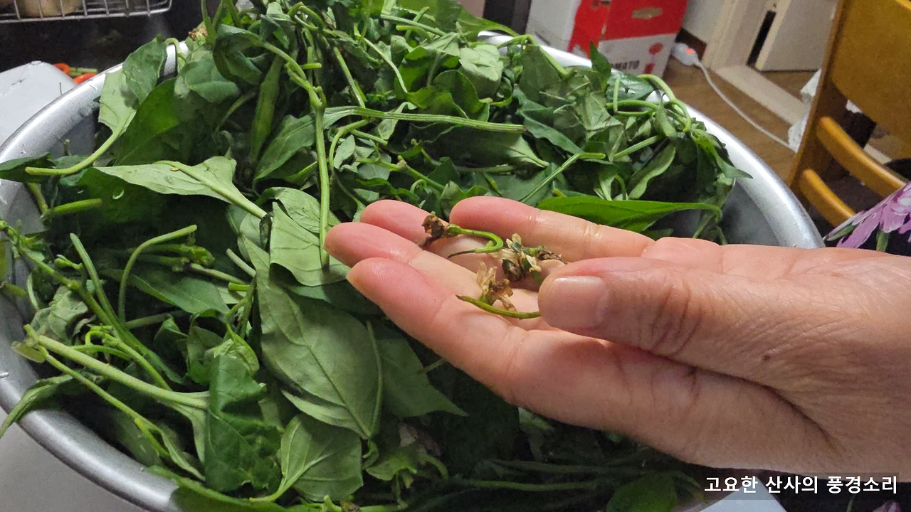 img.png?credential=yqXZFxpELC7KVnFOS48ylbz2pIh7yKj8&expires=1751295599&allow_ip=&allow_referer=&signature=0ea22GsjrlgGwHJKRCcRzWPVyMo%3D