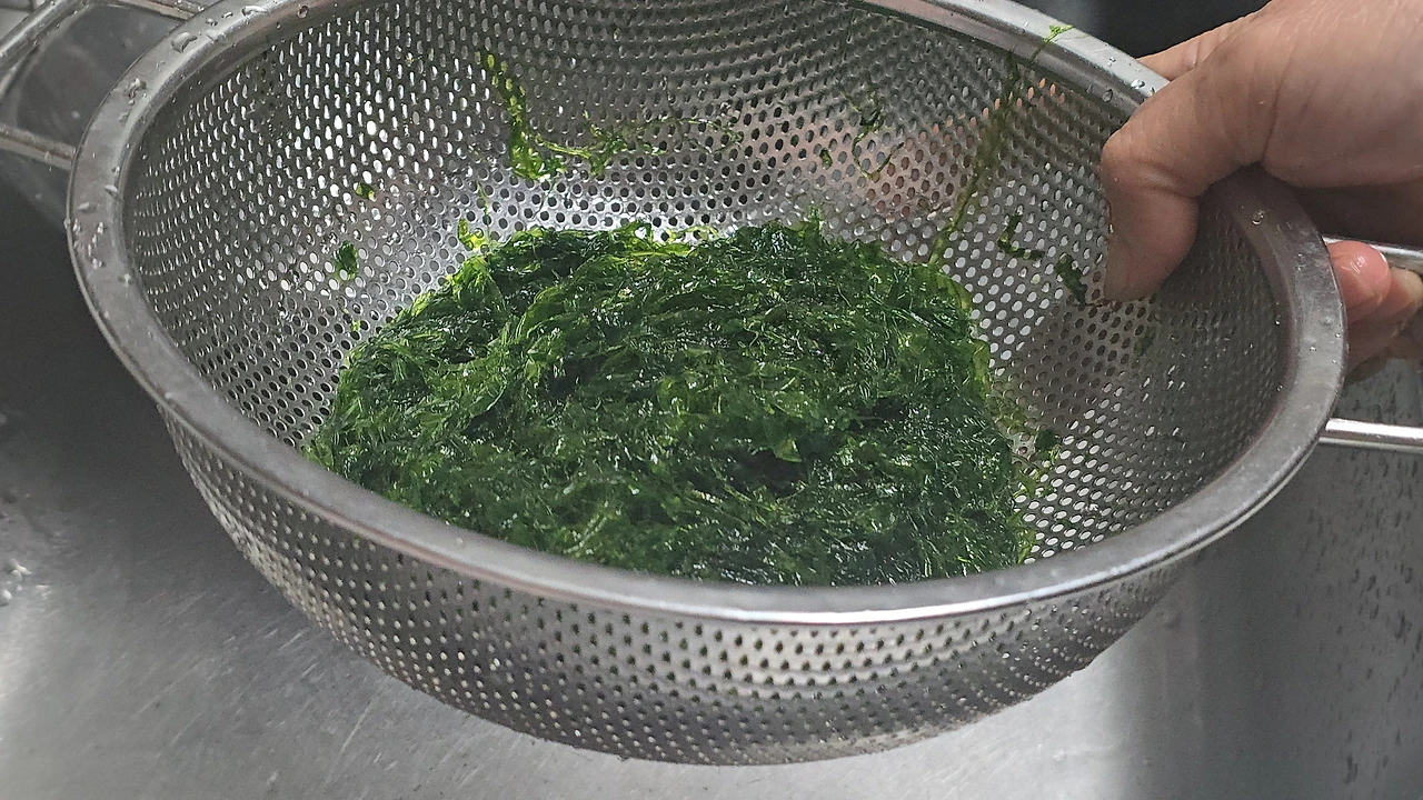 img.jpg?credential=yqXZFxpELC7KVnFOS48ylbz2pIh7yKj8&expires=1767193199&allow_ip=&allow_referer=&signature=whIHgFaFJOZPoF4u9BXRbM979cI%3D