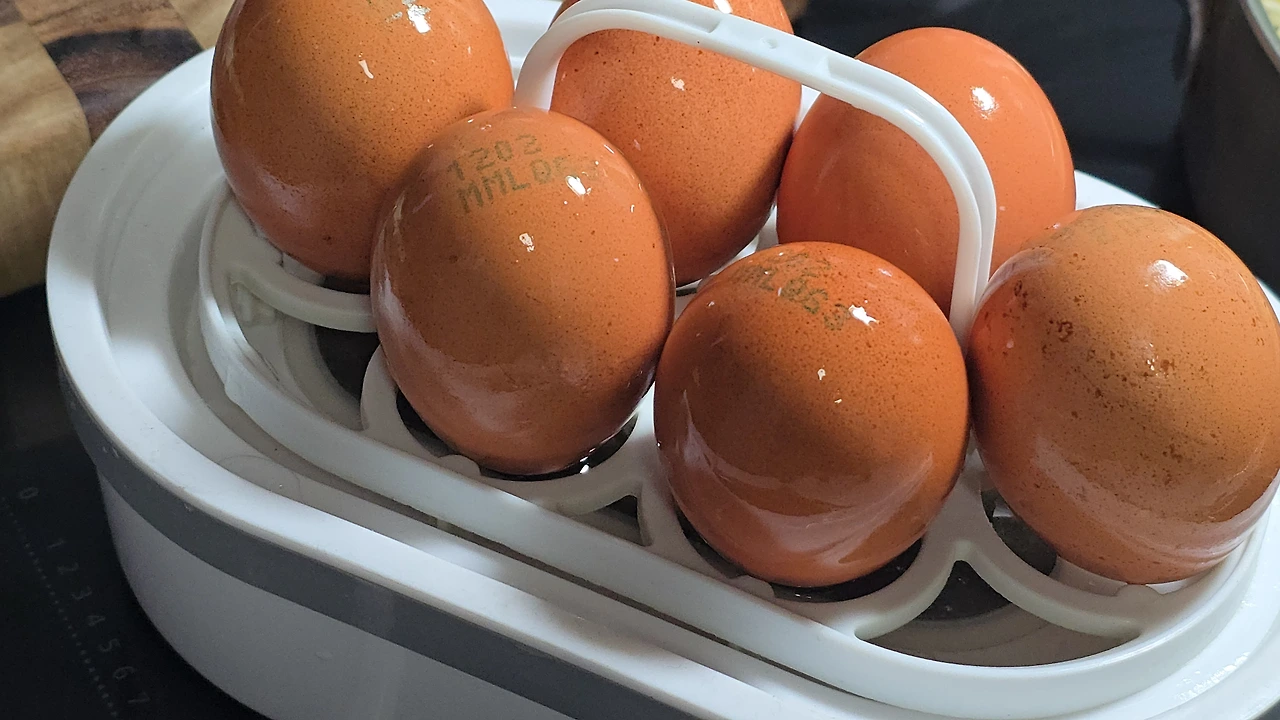 img.jpg?credential=yqXZFxpELC7KVnFOS48ylbz2pIh7yKj8&expires=1769871599&allow_ip=&allow_referer=&signature=Bluf8KTcG3U9%2F9r7U9ONtdo2MPA%3D