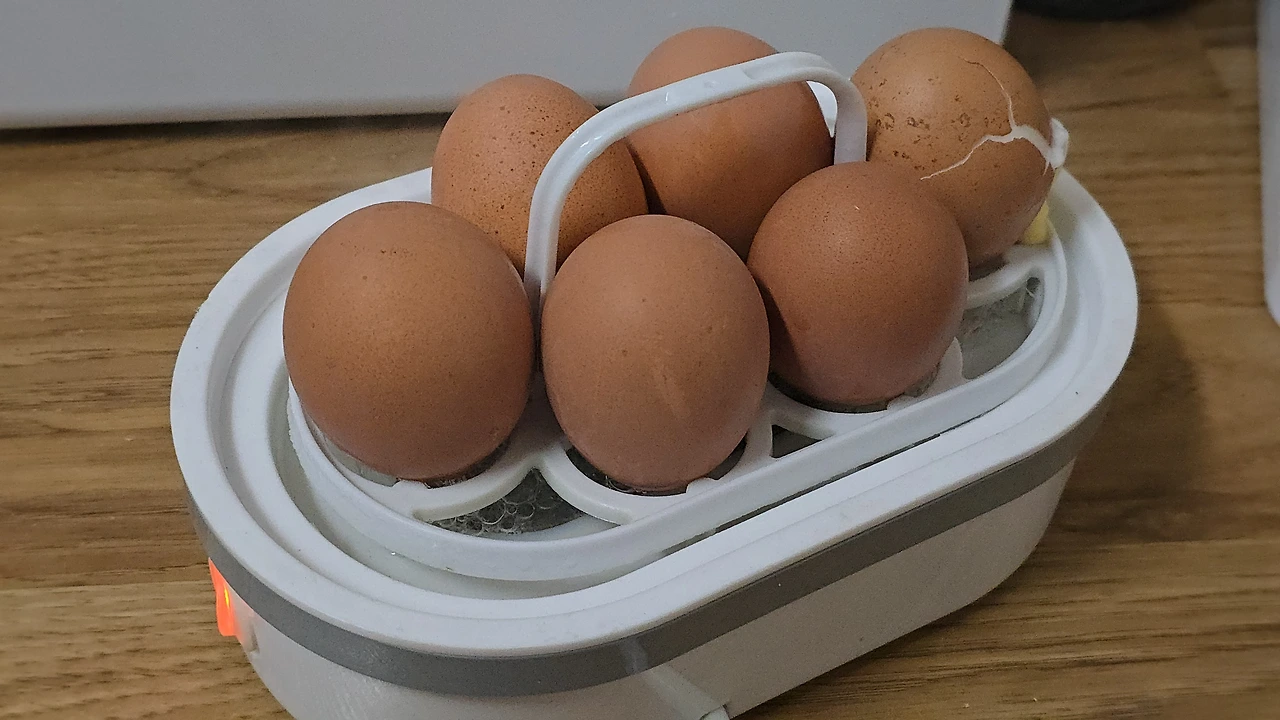 img.jpg?credential=yqXZFxpELC7KVnFOS48ylbz2pIh7yKj8&expires=1769871599&allow_ip=&allow_referer=&signature=Kn5xbRY%2B81UgnAq5aQbJIjITkpU%3D