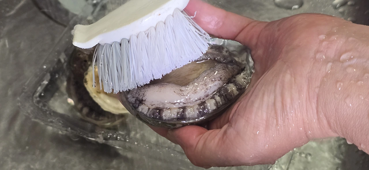 img.jpg?credential=yqXZFxpELC7KVnFOS48ylbz2pIh7yKj8&expires=1759244399&allow_ip=&allow_referer=&signature=IMAgbf%2BYdNbaNTG13ikIwnCdJCE%3D