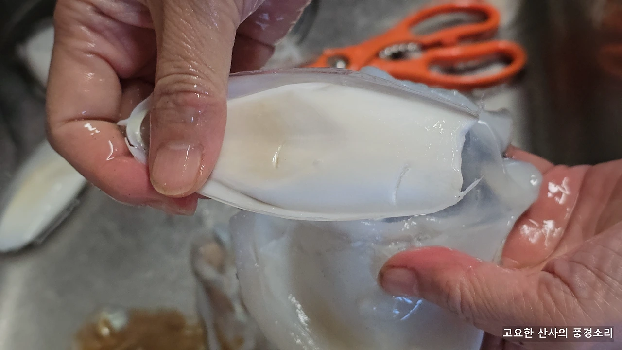 img.png?credential=yqXZFxpELC7KVnFOS48ylbz2pIh7yKj8&expires=1764514799&allow_ip=&allow_referer=&signature=pY2jzHhtt9EzDx81RwzC8zD16pc%3D