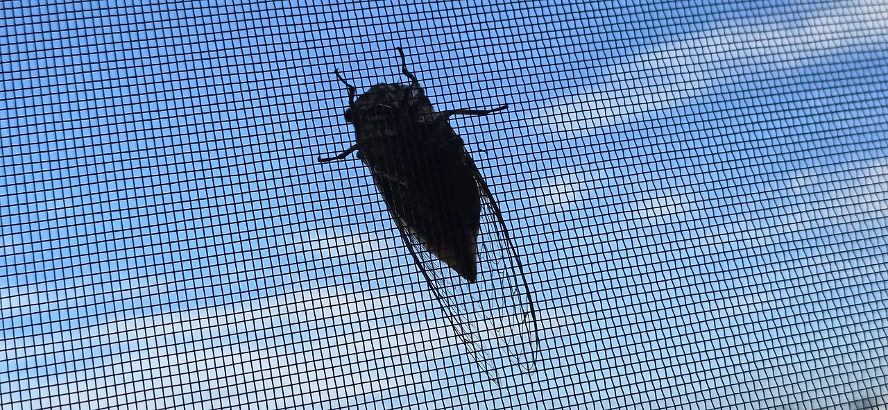 img.jpg?credential=yqXZFxpELC7KVnFOS48ylbz2pIh7yKj8&expires=1759244399&allow_ip=&allow_referer=&signature=Wcc%2BcRfROfsj4atFGIXz1N0bcQs%3D