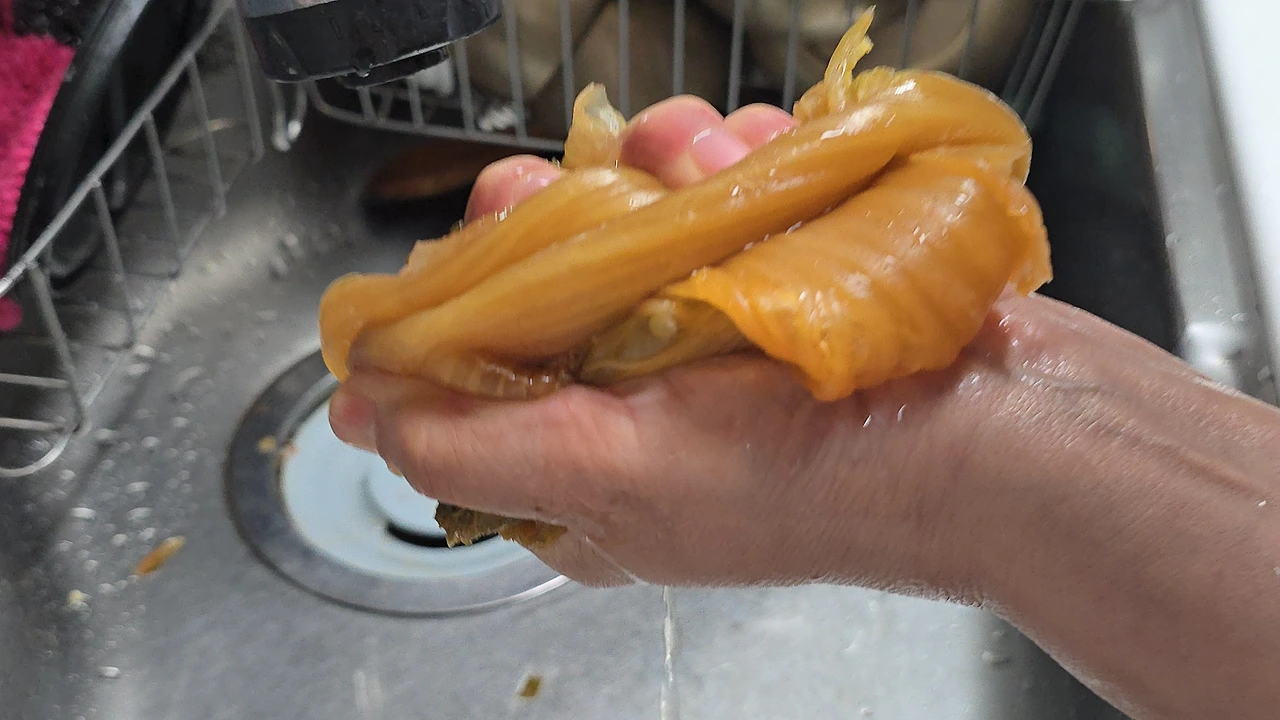 img.jpg?credential=yqXZFxpELC7KVnFOS48ylbz2pIh7yKj8&expires=1751295599&allow_ip=&allow_referer=&signature=CEBgQyiGFUtNUhtiB%2Bfps6Mf%2BX0%3D