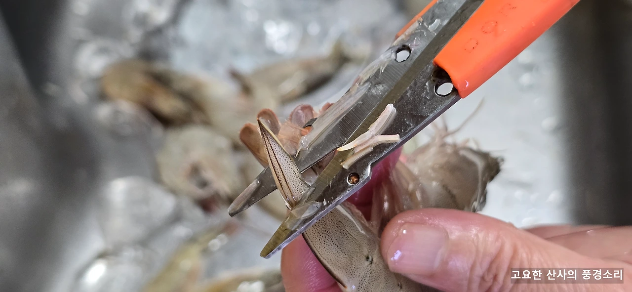 img.png?credential=yqXZFxpELC7KVnFOS48ylbz2pIh7yKj8&expires=1759244399&allow_ip=&allow_referer=&signature=ZM7DBzBLbvU03otGNqI8C5FySnE%3D