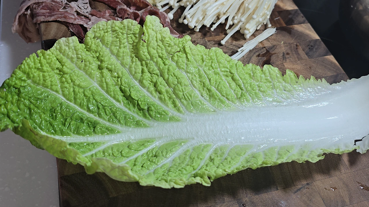 img.jpg?credential=yqXZFxpELC7KVnFOS48ylbz2pIh7yKj8&expires=1767193199&allow_ip=&allow_referer=&signature=YGsR95RMrb8NeNhGcJuh5B%2FNeeM%3D