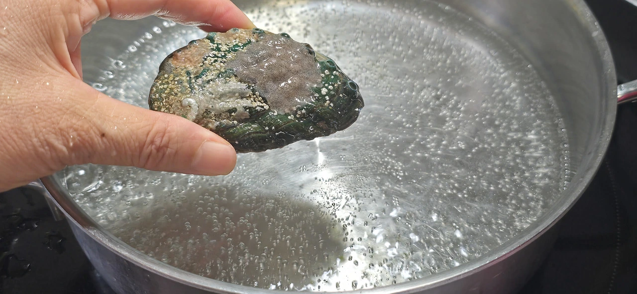 img.jpg?credential=yqXZFxpELC7KVnFOS48ylbz2pIh7yKj8&expires=1759244399&allow_ip=&allow_referer=&signature=ED8H5Ueuwjvo2X5X6XcP0Q3t2pg%3D