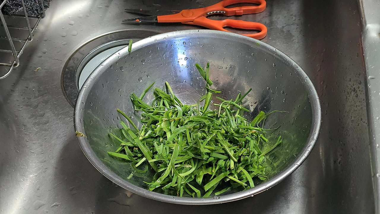 img.jpg?credential=yqXZFxpELC7KVnFOS48ylbz2pIh7yKj8&expires=1764514799&allow_ip=&allow_referer=&signature=%2BGU89MEzGADawGhQzhW4BhdUr%2B8%3D