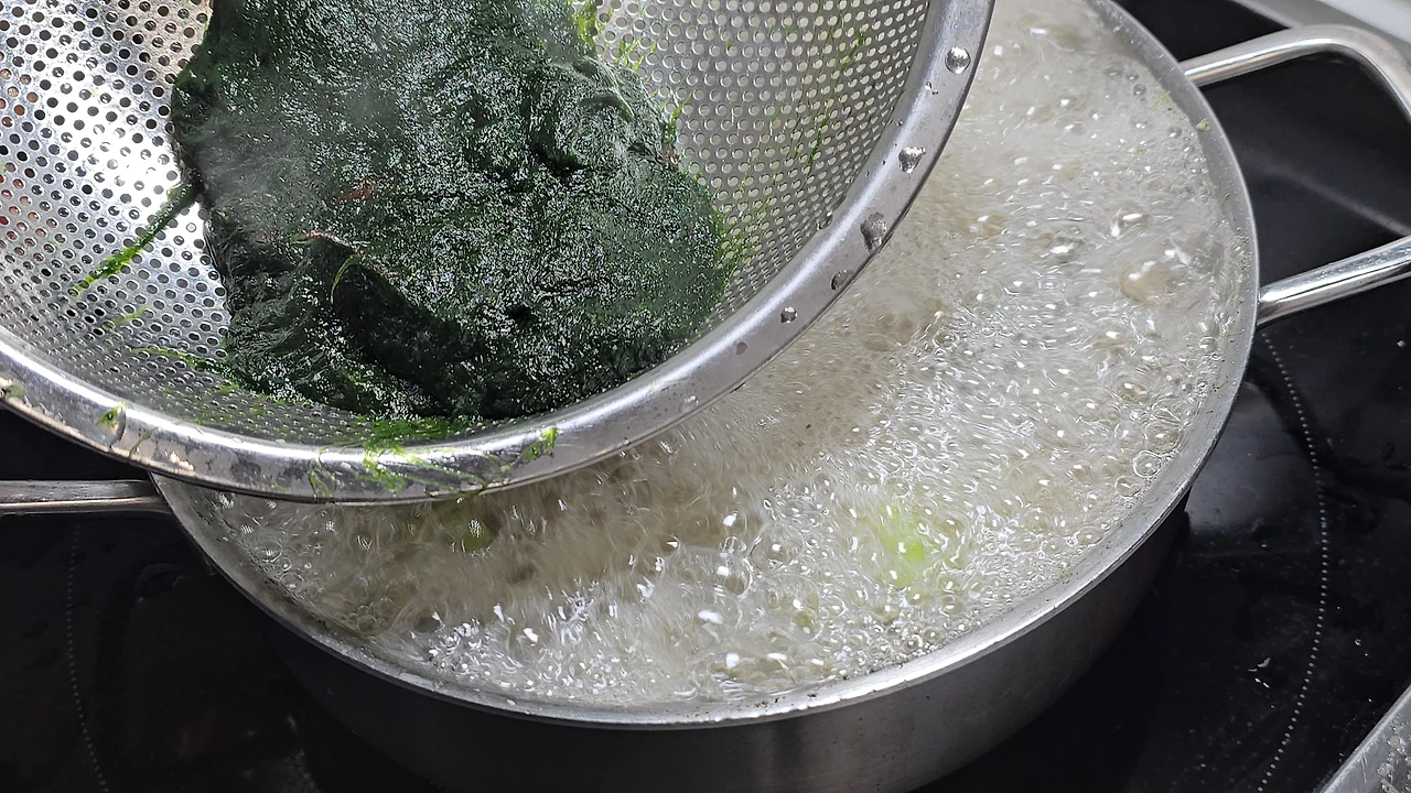 img.jpg?credential=yqXZFxpELC7KVnFOS48ylbz2pIh7yKj8&expires=1769871599&allow_ip=&allow_referer=&signature=m30vyHy%2BdOORhkJQ%2F2%2BbBmAec6k%3D