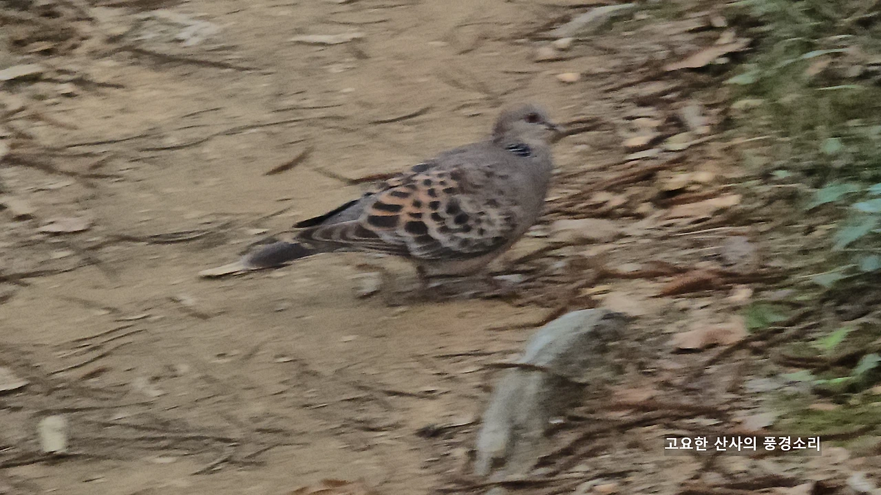 img.png?credential=yqXZFxpELC7KVnFOS48ylbz2pIh7yKj8&expires=1753973999&allow_ip=&allow_referer=&signature=wRW3CtMXPg21bcl9ifmi8rwD1tc%3D