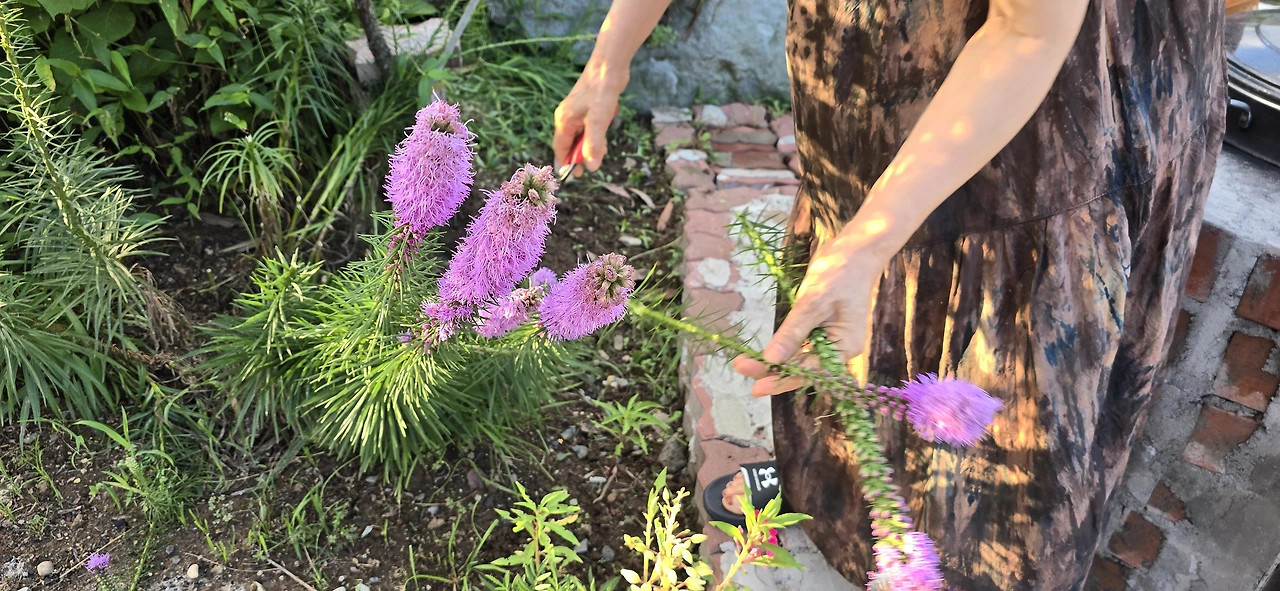 img.jpg?credential=yqXZFxpELC7KVnFOS48ylbz2pIh7yKj8&expires=1753973999&allow_ip=&allow_referer=&signature=%2FhtPDIC%2BC8Bkq8nIbGLqBkJY%2Bbk%3D