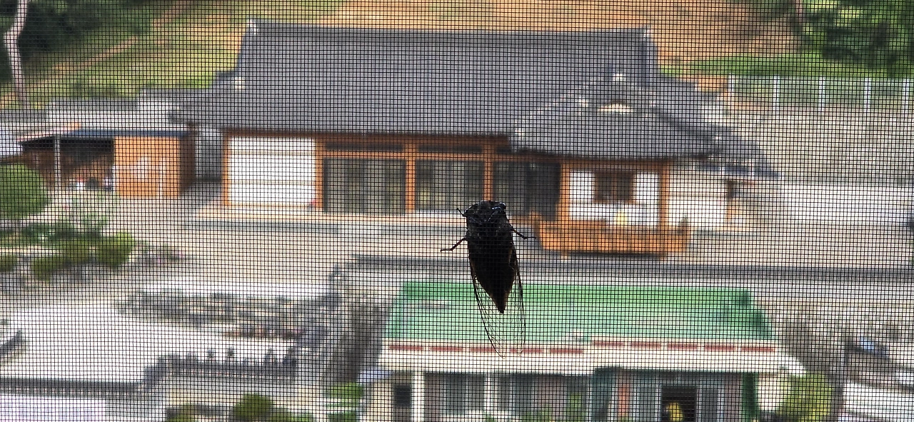 img.jpg?credential=yqXZFxpELC7KVnFOS48ylbz2pIh7yKj8&expires=1759244399&allow_ip=&allow_referer=&signature=L1c0ktQhcqDMCQqJQIWyq1v5Nzk%3D