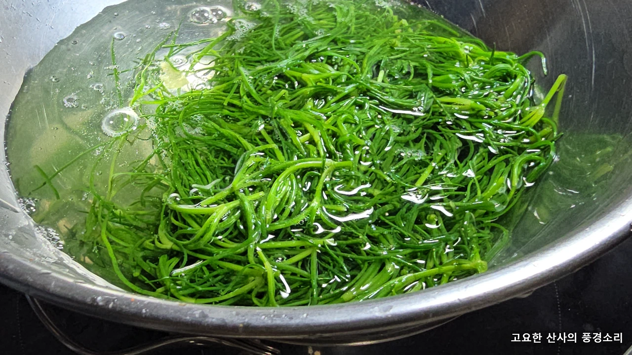 img.png?credential=yqXZFxpELC7KVnFOS48ylbz2pIh7yKj8&expires=1769871599&allow_ip=&allow_referer=&signature=SXMT76blyuuroEwuwpldBQwXmQ0%3D