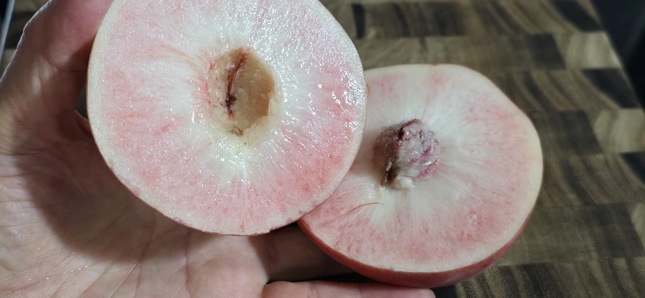 img.jpg?credential=yqXZFxpELC7KVnFOS48ylbz2pIh7yKj8&expires=1756652399&allow_ip=&allow_referer=&signature=i9HenAp%2Bex5tXxJR3bm8TCq135g%3D