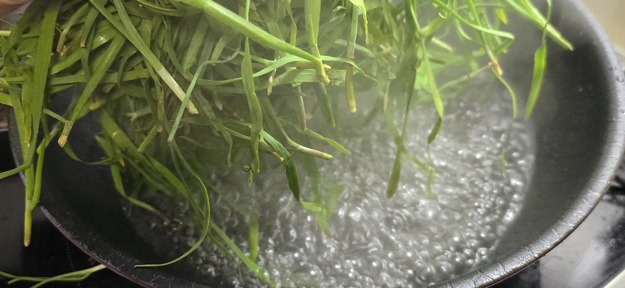 img.jpg?credential=yqXZFxpELC7KVnFOS48ylbz2pIh7yKj8&expires=1764514799&allow_ip=&allow_referer=&signature=ZsJmMQ5BIBP3COai648kbNR5g2o%3D