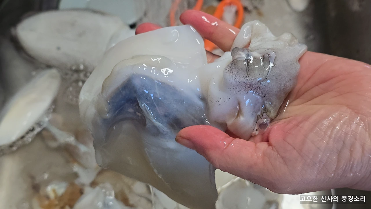 img.png?credential=yqXZFxpELC7KVnFOS48ylbz2pIh7yKj8&expires=1764514799&allow_ip=&allow_referer=&signature=89NXnltExRHueRGtmrAv2Wlohhc%3D