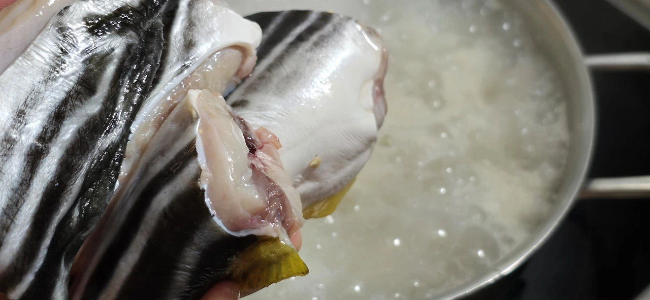 img.jpg?credential=yqXZFxpELC7KVnFOS48ylbz2pIh7yKj8&expires=1759244399&allow_ip=&allow_referer=&signature=Pj1gcr9j4ucwS0FVum%2BA3qYIWQw%3D