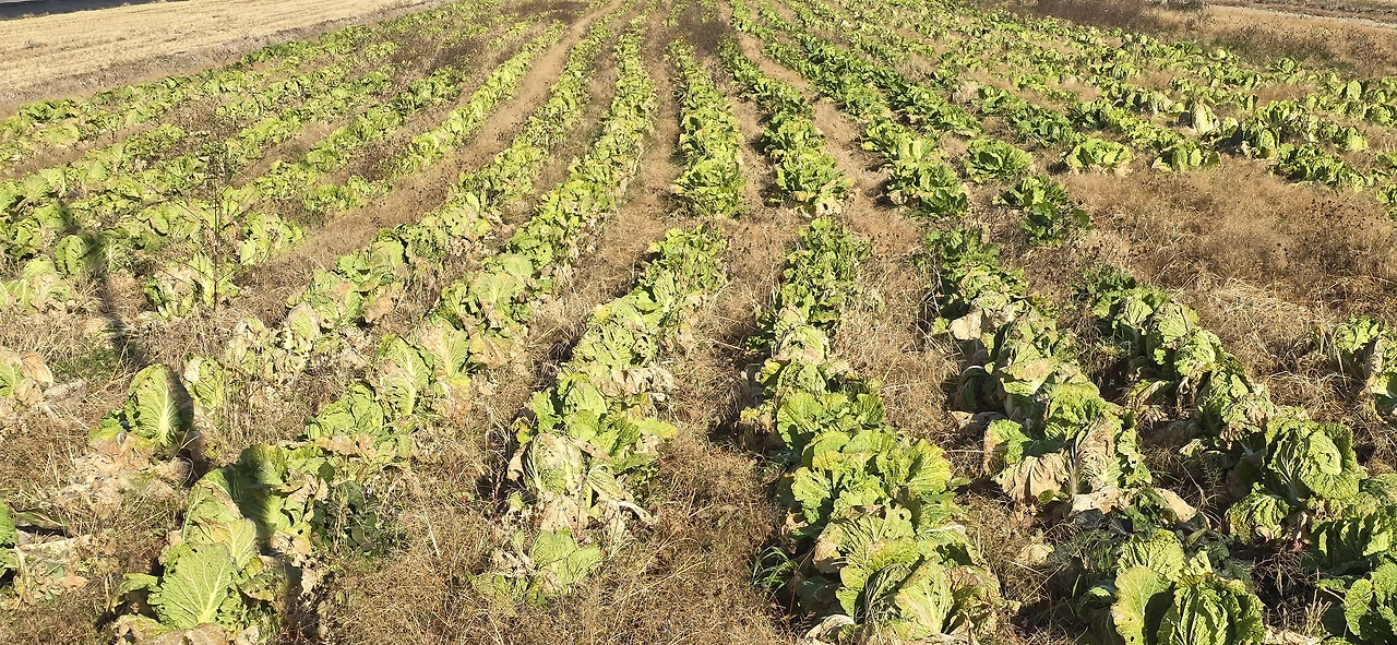 img.jpg?credential=yqXZFxpELC7KVnFOS48ylbz2pIh7yKj8&expires=1767193199&allow_ip=&allow_referer=&signature=KN%2BHnvLCZyfDqopaG9sI8aMmJpQ%3D