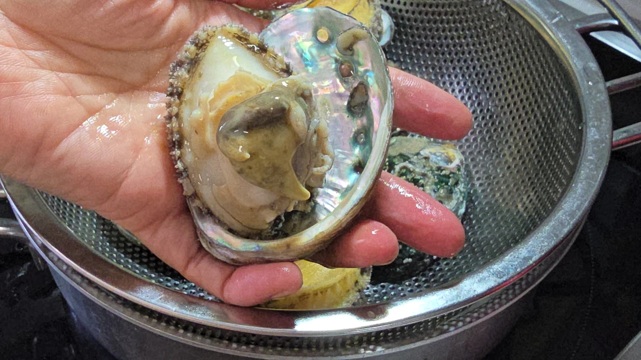 img.jpg?credential=yqXZFxpELC7KVnFOS48ylbz2pIh7yKj8&expires=1759244399&allow_ip=&allow_referer=&signature=%2F1I5XOZgJOOipmFzgenVJpA%2BcVU%3D