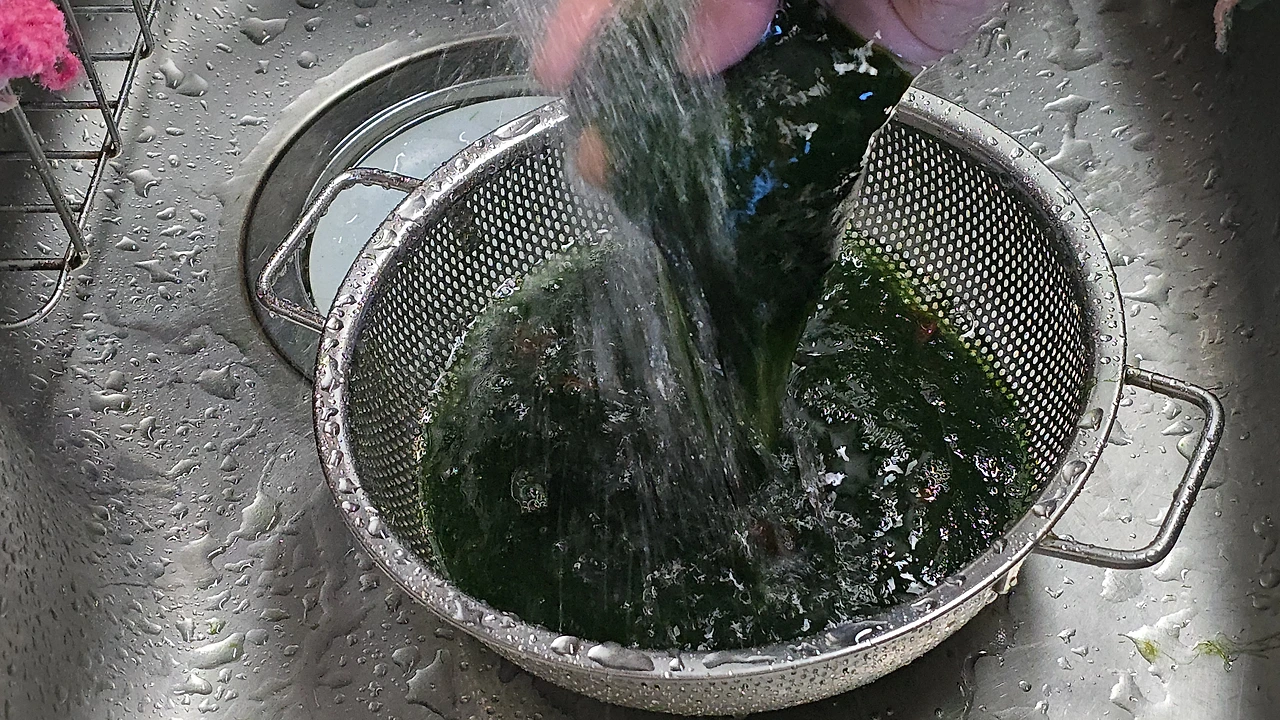 img.jpg?credential=yqXZFxpELC7KVnFOS48ylbz2pIh7yKj8&expires=1769871599&allow_ip=&allow_referer=&signature=uNISMKxOulyy82U6%2FkhVw4GQZvQ%3D