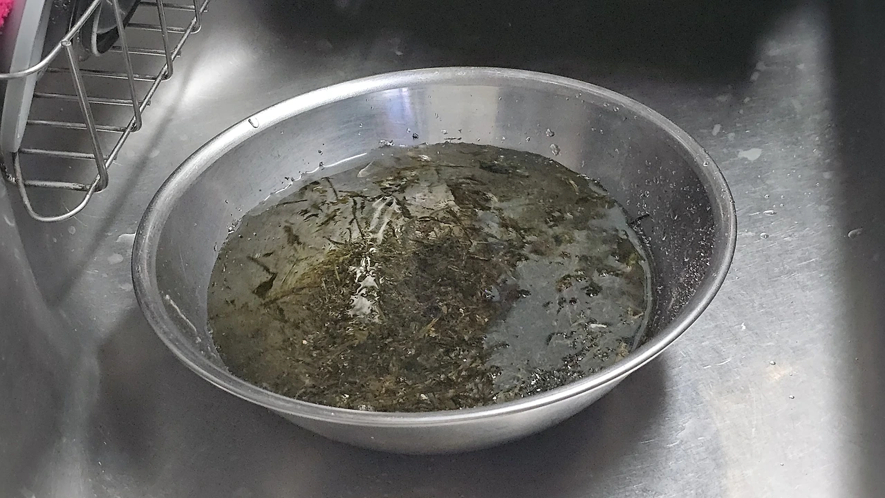 img.jpg?credential=yqXZFxpELC7KVnFOS48ylbz2pIh7yKj8&expires=1751295599&allow_ip=&allow_referer=&signature=7uK6TvOi5oa7dUSUDuGy59ox%2B3Q%3D