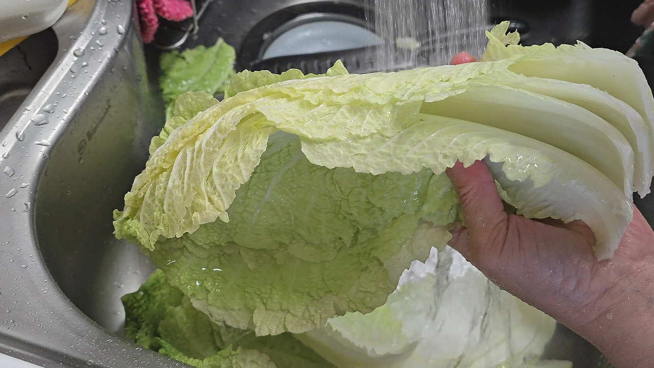 img.jpg?credential=yqXZFxpELC7KVnFOS48ylbz2pIh7yKj8&expires=1767193199&allow_ip=&allow_referer=&signature=TaLzzTasBQdIr01E9uqB9vM0dyA%3D