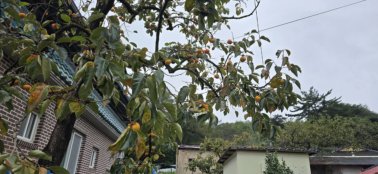 img.jpg?credential=yqXZFxpELC7KVnFOS48ylbz2pIh7yKj8&expires=1761922799&allow_ip=&allow_referer=&signature=vUYbVTUvNppB%2Bi0ft9VI5DvasGA%3D