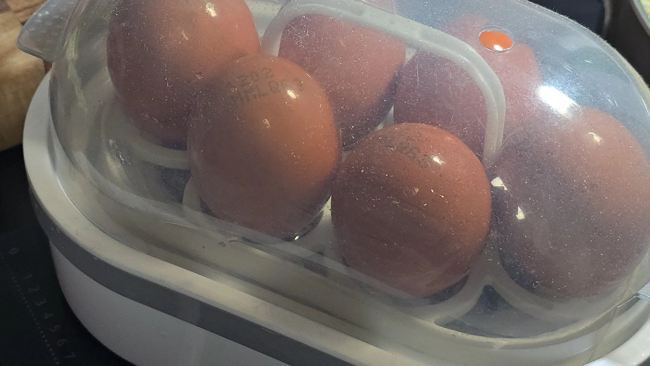 img.jpg?credential=yqXZFxpELC7KVnFOS48ylbz2pIh7yKj8&expires=1769871599&allow_ip=&allow_referer=&signature=brzg8XUkfmrjiYHbQrDaTu6B%2F8g%3D