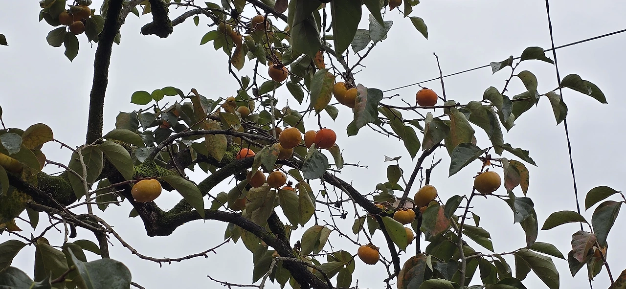 img.jpg?credential=yqXZFxpELC7KVnFOS48ylbz2pIh7yKj8&expires=1761922799&allow_ip=&allow_referer=&signature=cL%2B%2FyUo0VBpLNPUrdTwYqv%2B%2FlD8%3D