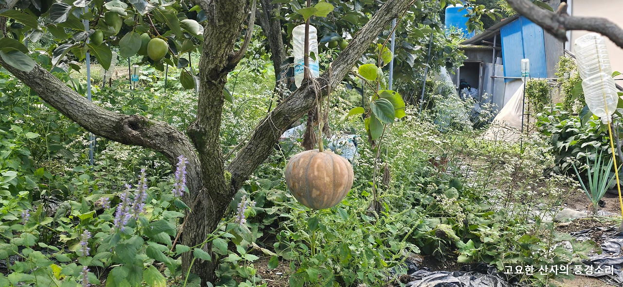 img.png?credential=yqXZFxpELC7KVnFOS48ylbz2pIh7yKj8&expires=1759244399&allow_ip=&allow_referer=&signature=vl8iVa6G7quouGrWTt9TLNp8SYc%3D