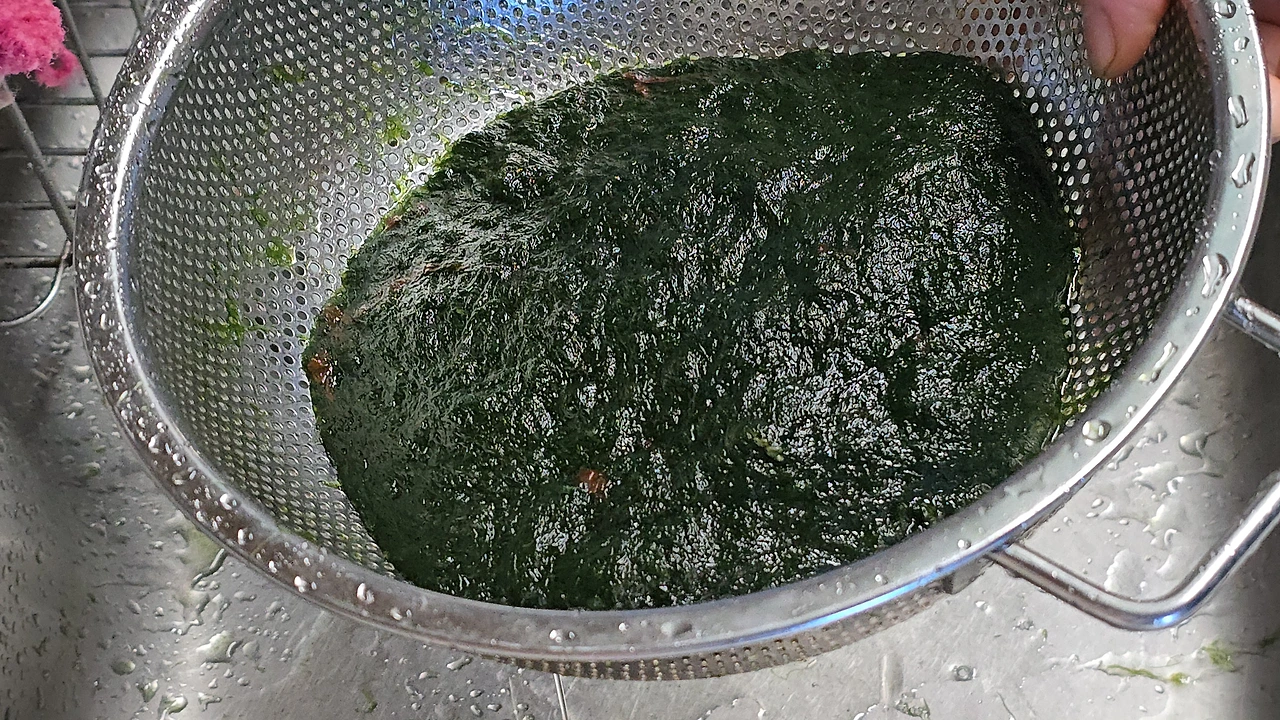 img.jpg?credential=yqXZFxpELC7KVnFOS48ylbz2pIh7yKj8&expires=1769871599&allow_ip=&allow_referer=&signature=eRLiu44qoEcHF6frS0NoxRynMeI%3D